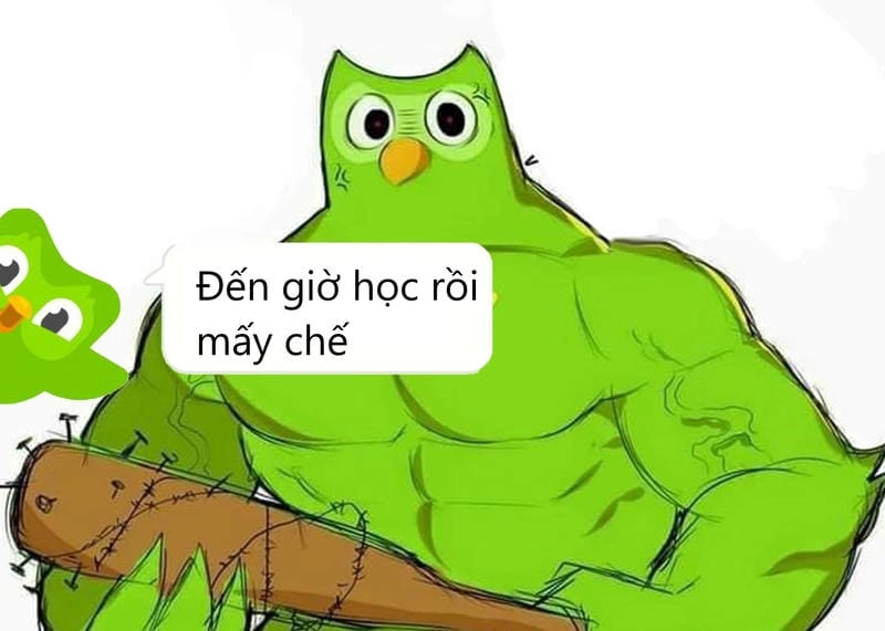 Cùng cười với những hình meme hài khó đỡ