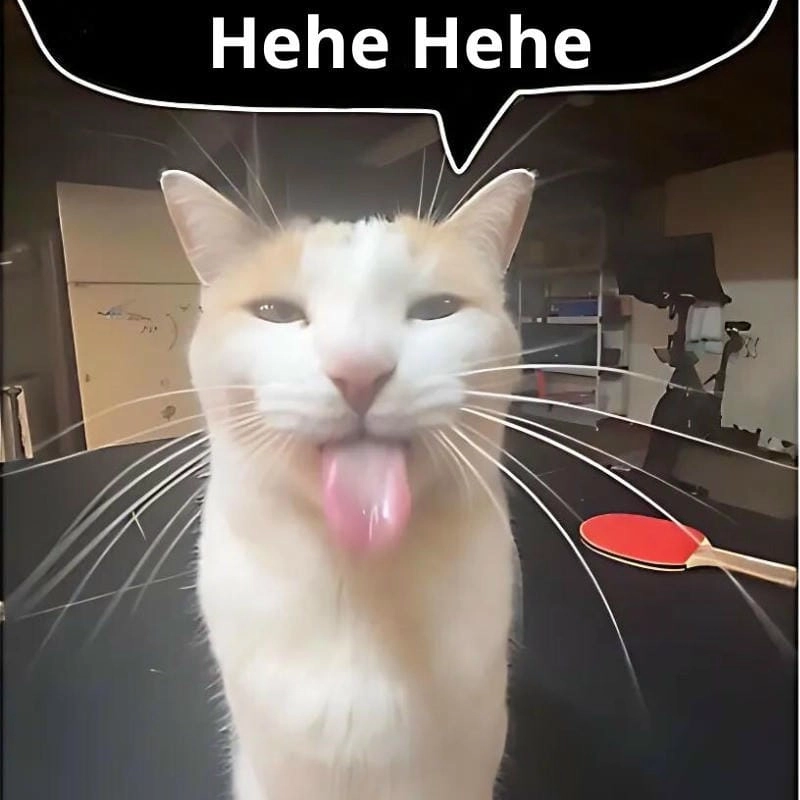 Khám phá những bức meme hehe hài hước