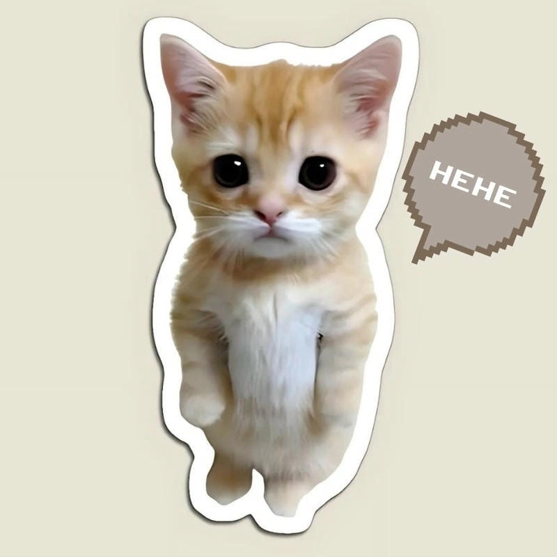 Thức dậy cùng những hình meme hehe viral