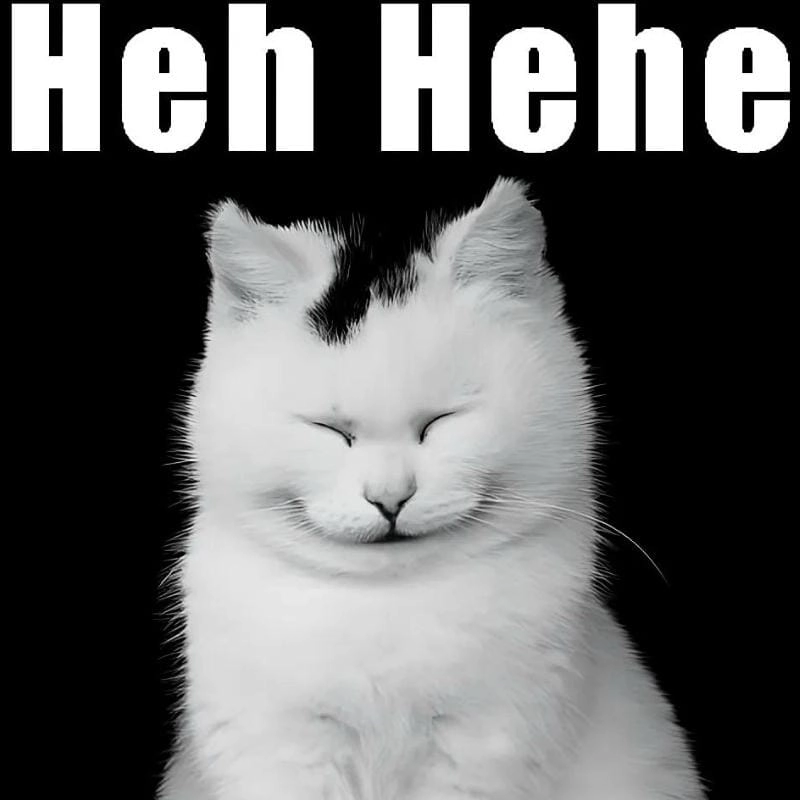 Cười sảng với meme hehe mới nhất