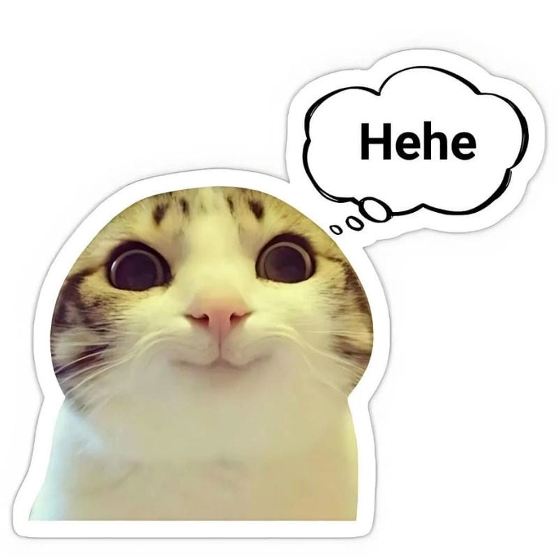 Ngắm nhìn vẻ đẹp meme hehe troll