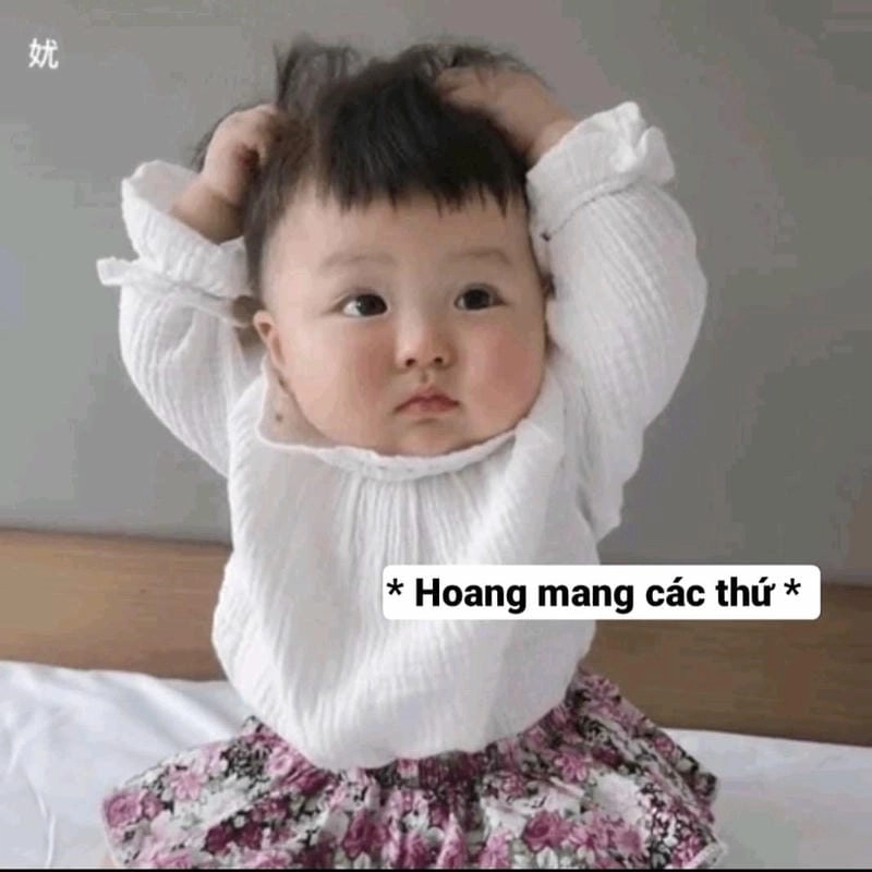 Cùng du ngoạn meme hoang mang phản ứng