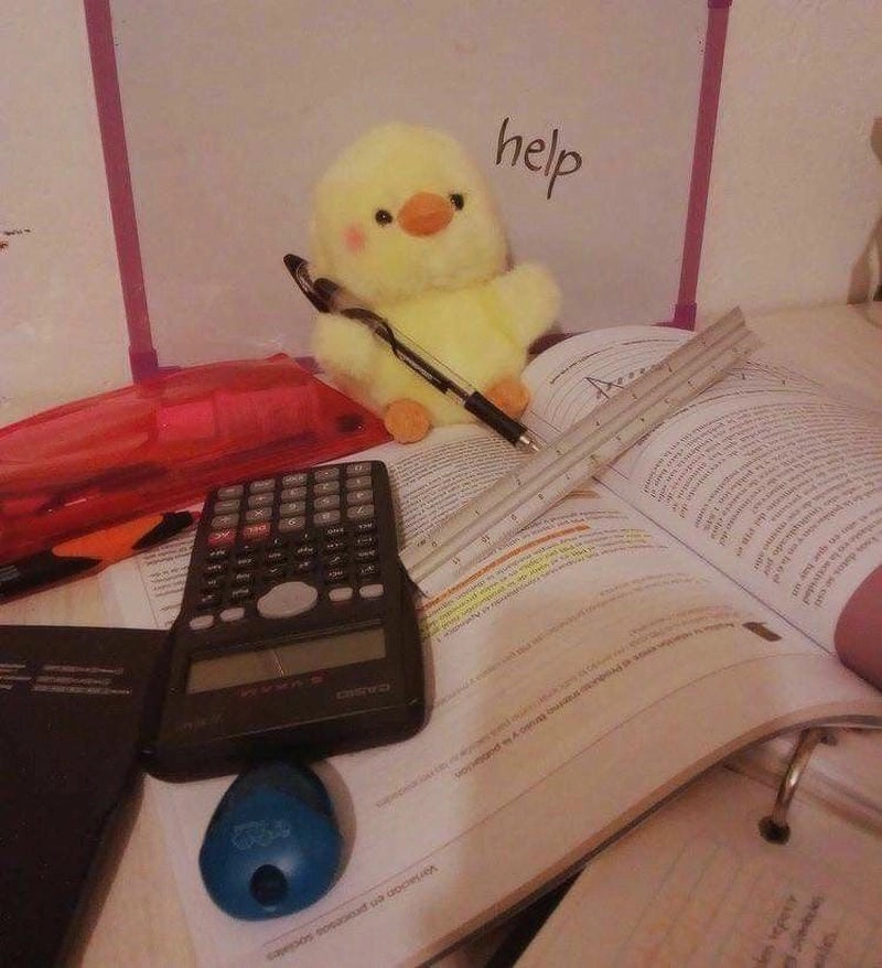 Thức dậy cùng những hình meme học bài viral