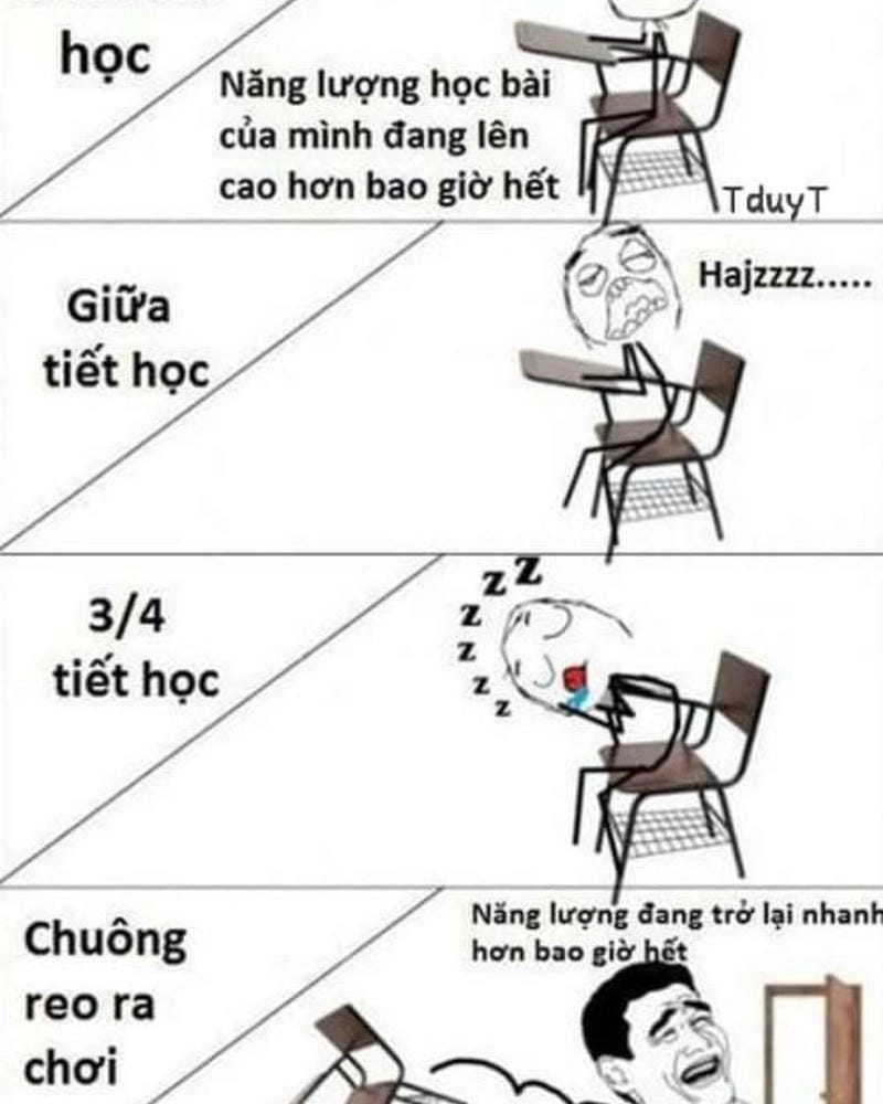 Ngắm nhìn vẻ đẹp meme học bài troll