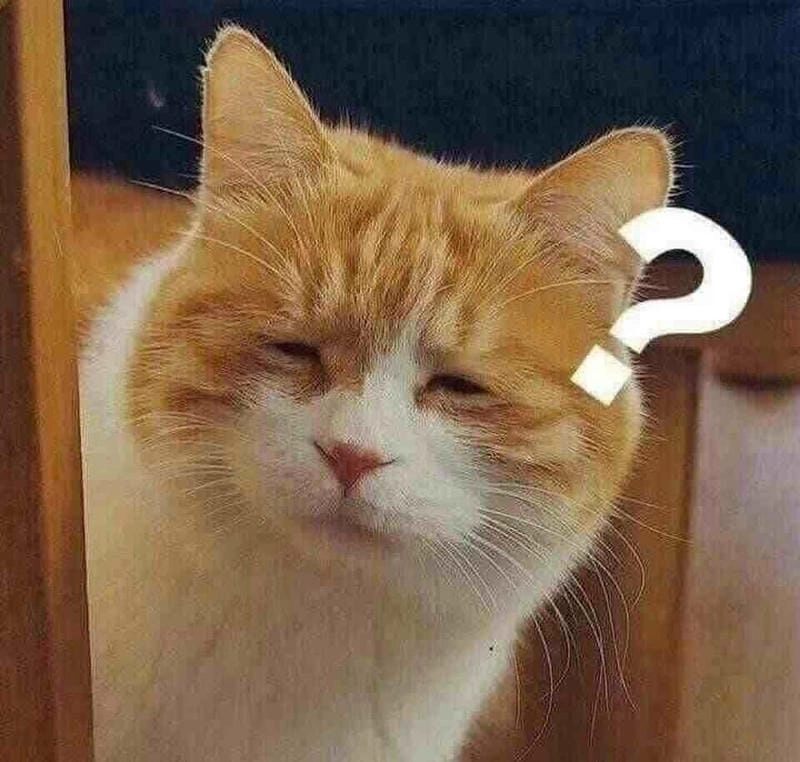 Lạc lối trong hình meme dấu hỏi