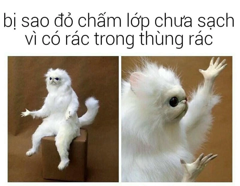 Lạc lối trong thế giới meme hỏi “chấm” vui
