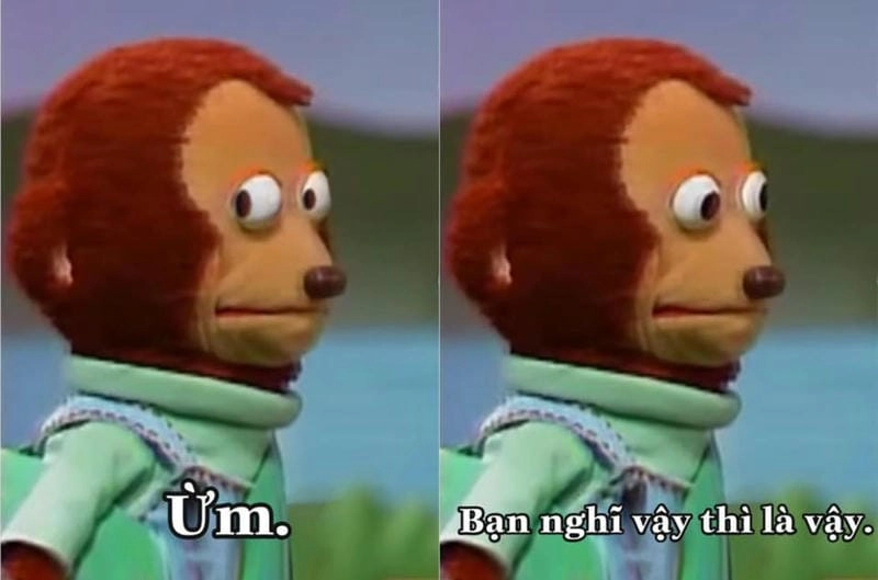 Cùng cười với những hình meme khỉ dễ thương