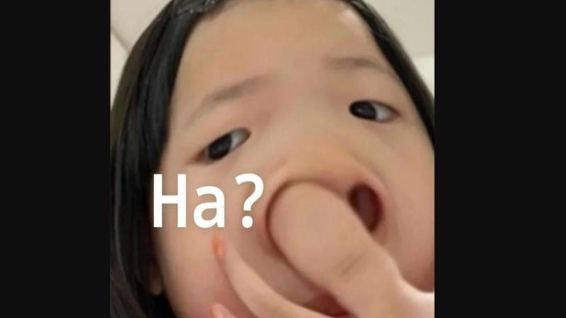 Ngắm nhìn vẻ đẹp meme khinh bỉ vui nhộn