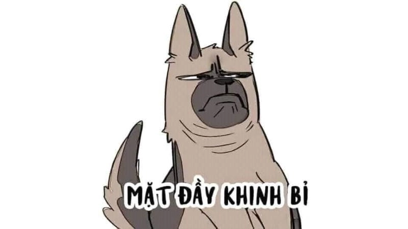 Săn lùng những khoảnh khắc meme khinh khỉnh