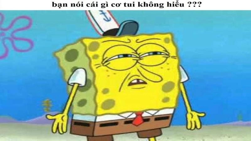 Cùng cười với những hình meme không hiểu buồn cười
