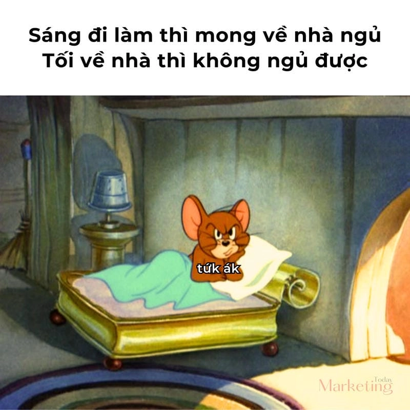 Gợi ý những bức meme không hiểu cute