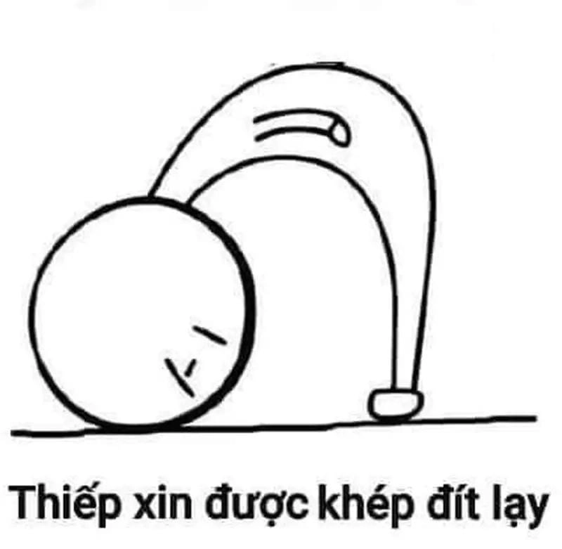 Khám phá những bức ảnh meme thả tim dễ thương