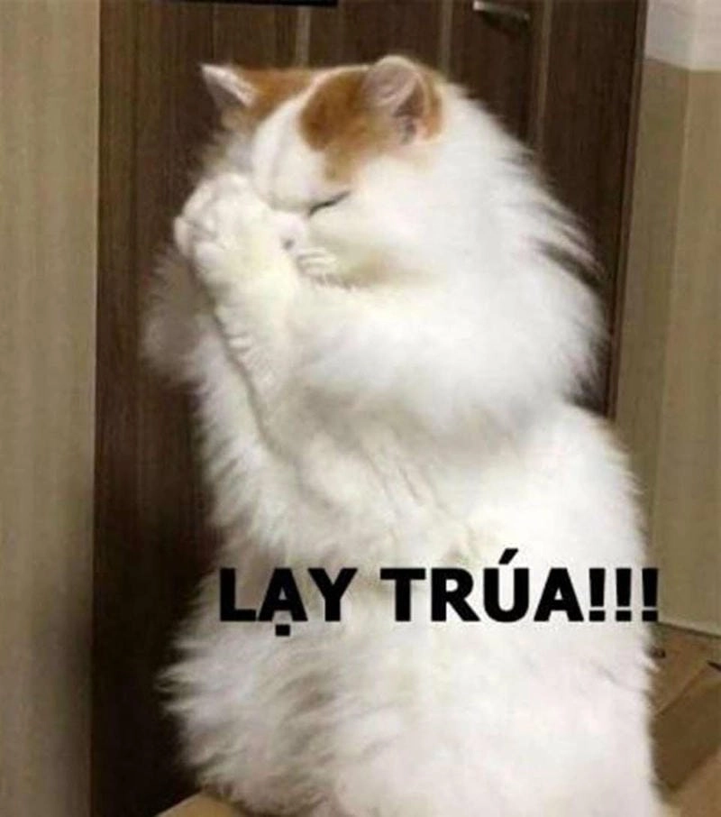 Tìm về meme thả tim tình yêu