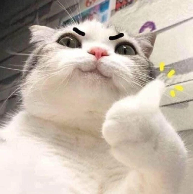 Khám phá những bức ảnh meme like hài hước