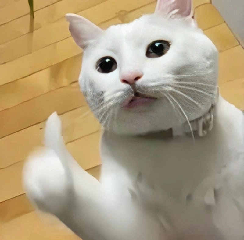 Săn lùng những khoảnh khắc meme like troll