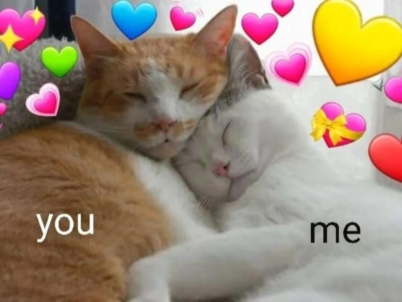 Tìm hiểu Lý do meme love được yêu thích