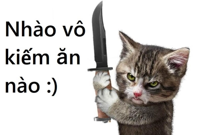 Lạc lối trong meme lườm troll