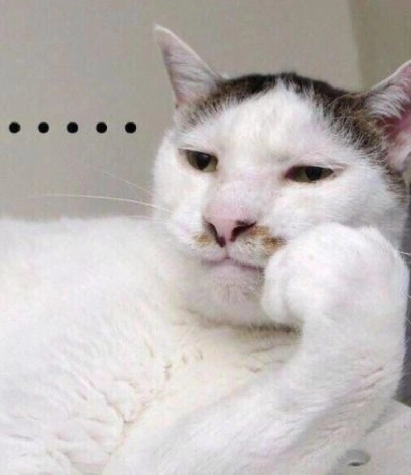 Ngắm nhìn vẻ đẹp meme lườm cute