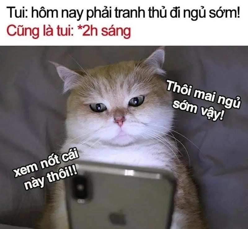 Cùng du ngoạn meme mất ngủ mệt mỏi