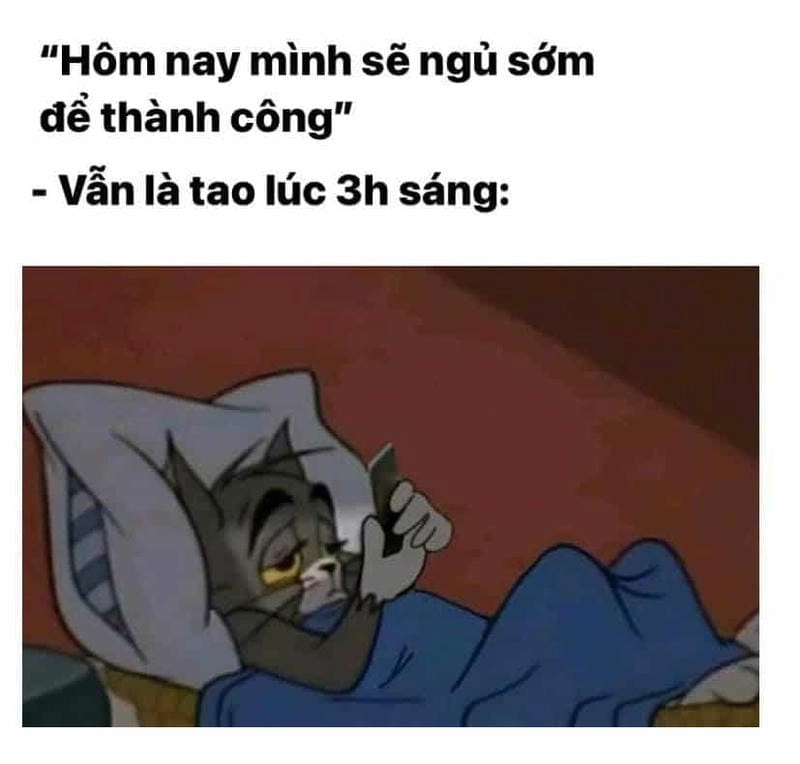 Lạc lối trong meme mất ngủ dễ thương