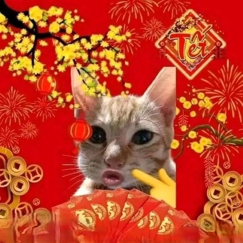 Cùng cười với những hình meme mèo tết chế
