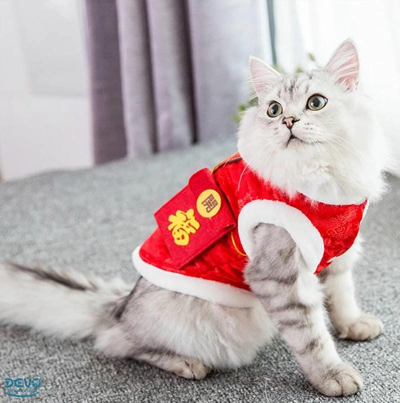 Gợi ý những bức meme mèo tết cute