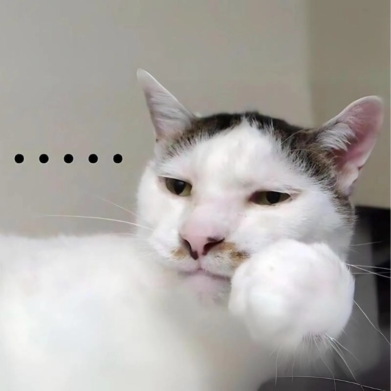 Lạc lối trong thế giới meme mèo dễ thương