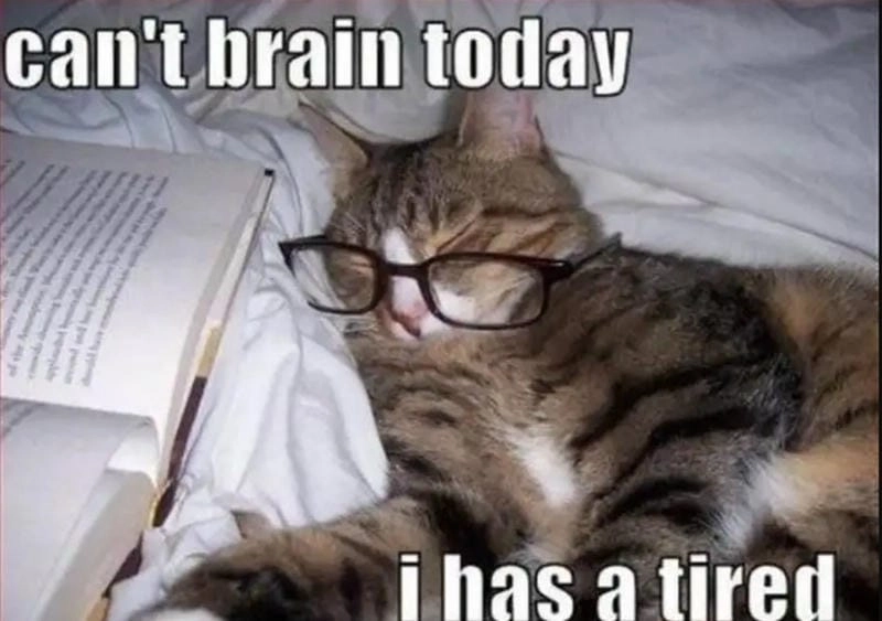 Gợi ý những bức meme mệt mỏi đáng yêu