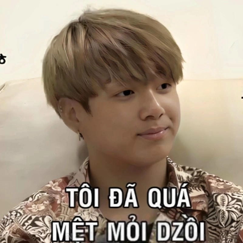 Ngắm nhìn vẻ đẹp meme mệt mỏi dễ thương