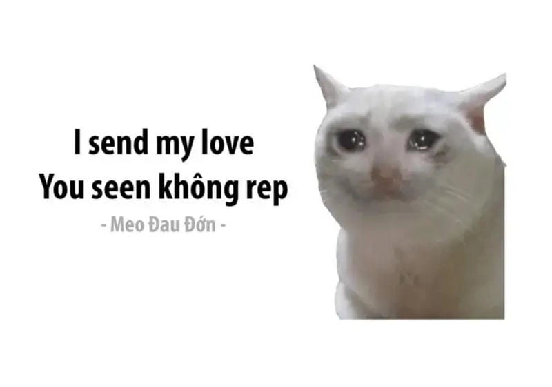 Sưu tầm những bức meme mệt mỏi cute