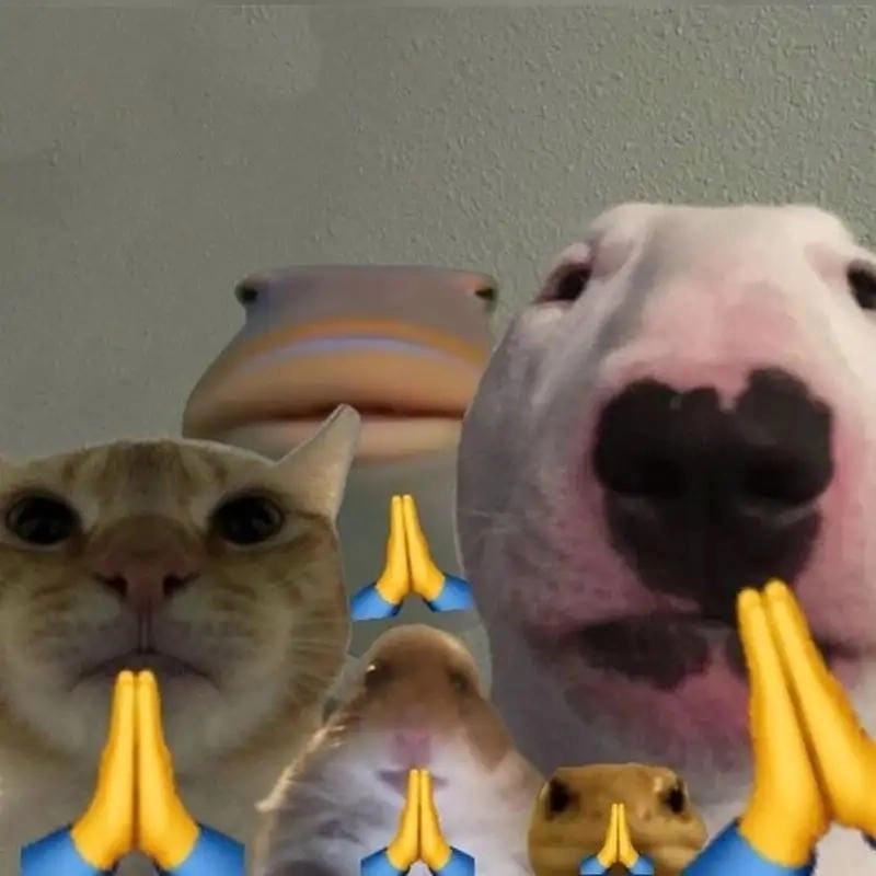 Cùng du ngoạn meme mô phật mới nhất