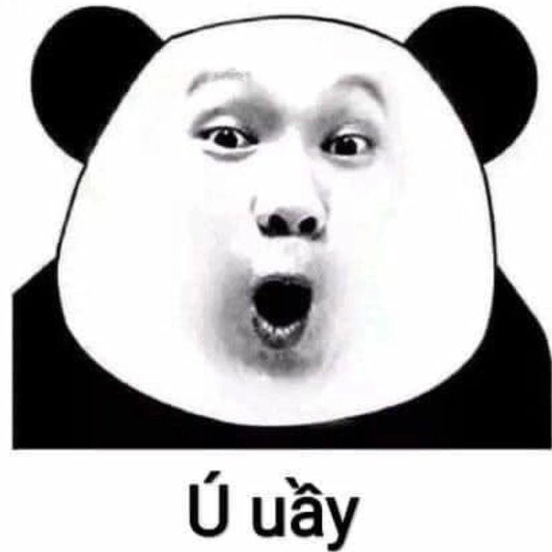 Cùng cười với những hình meme ngạc nhiên vui nhộn