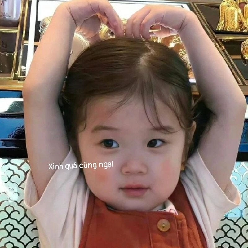 Lạc lối trong meme ngại giải trí