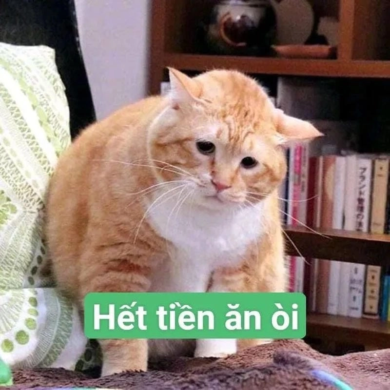 Gợi ý những bức meme nghèo bá đạo