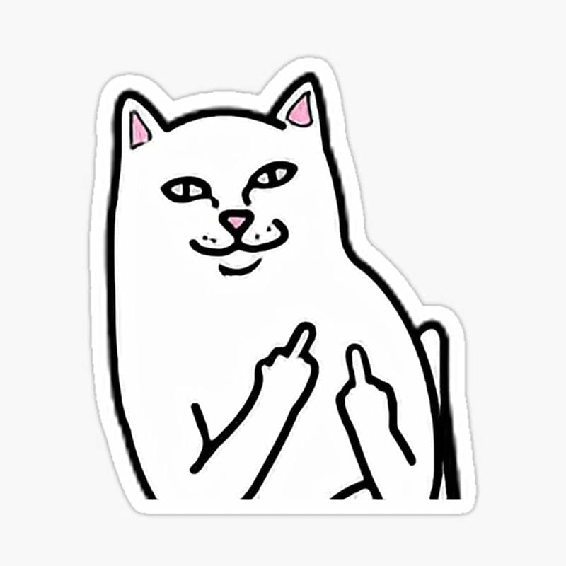 Khám phá những bức ảnh meme ngón giữa hài hước