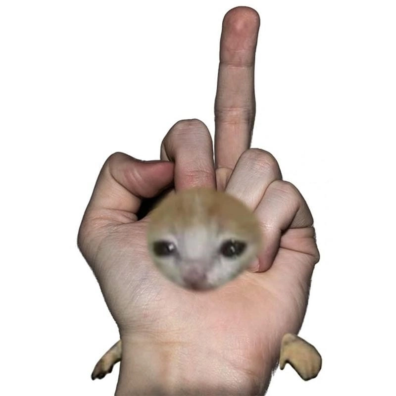 Cùng du ngoạn meme ngón giữa chất