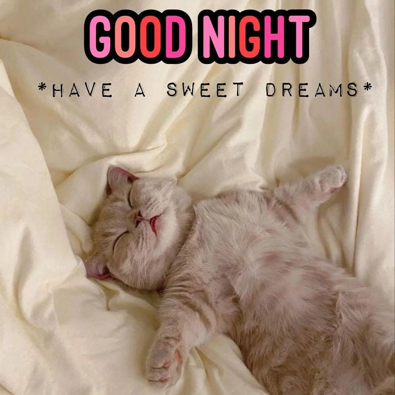 Cùng cười với những hình meme ngủ ngon hài hước