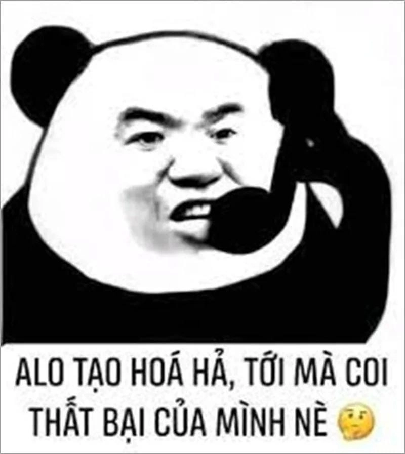 Lạc lối trong meme ngu giải trí
