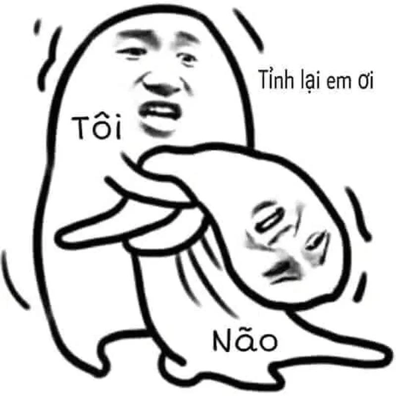 Khám phá những bức ảnh meme ngu hài hước