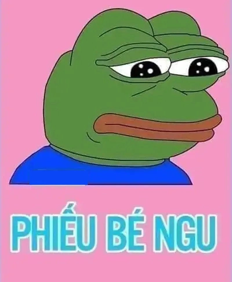 Cùng cười với những hình meme ngu buồn cười