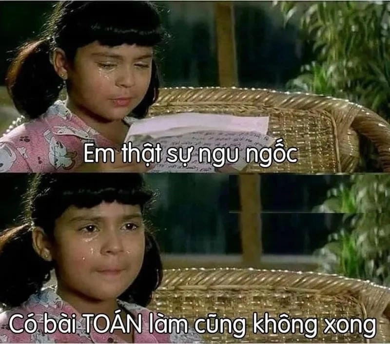 Thức dậy cùng những hình meme ngu ngốc