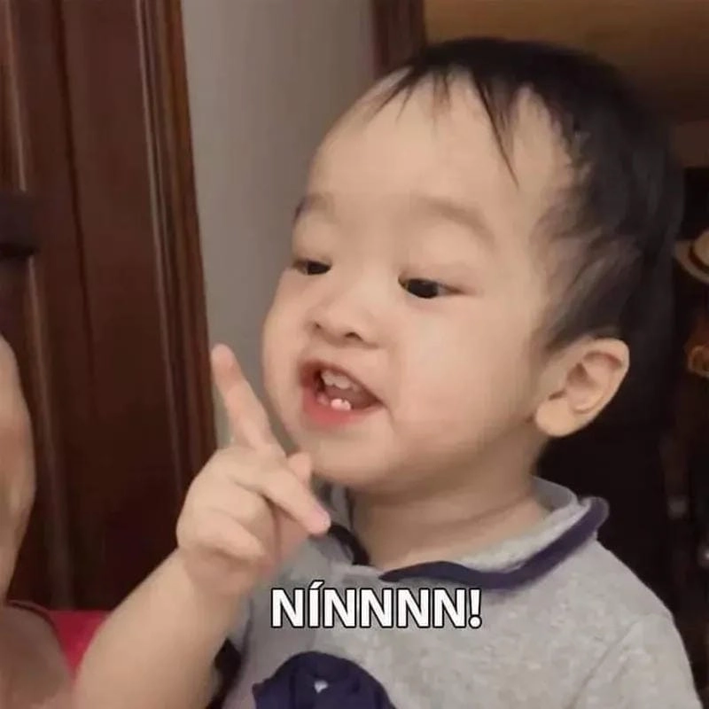 Săn lùng những khoảnh khắc meme người vui