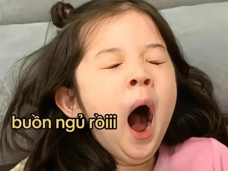 Thức dậy cùng những hình meme người đáng yêu