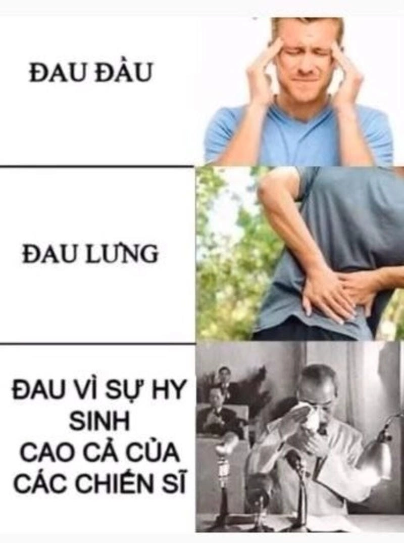 Săn lùng những khoảnh khắc meme nhân văn sâu sắc