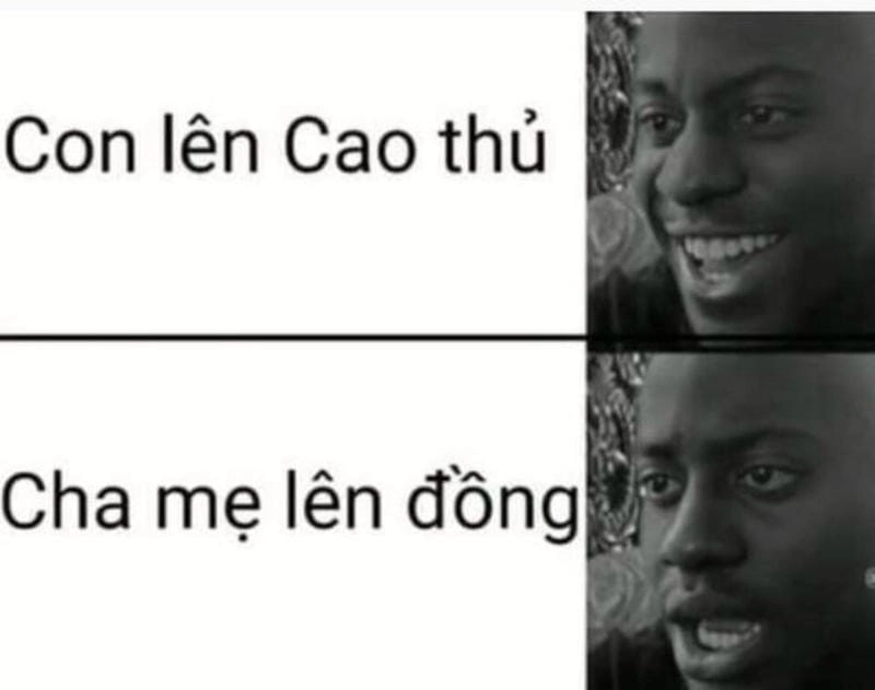 Lạc lối trong thế giới meme nhân văn cảm động