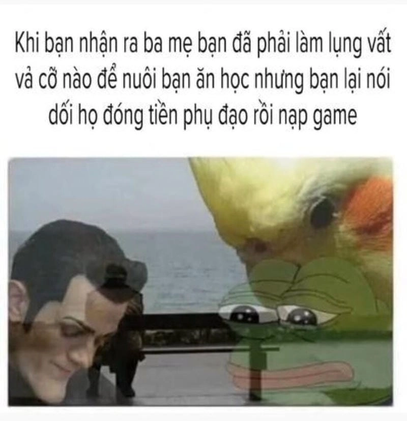 Ngắm nhìn vẻ đẹp meme nhân văn vui vẻ