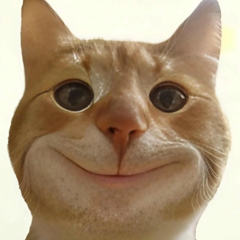 Cùng du ngoạn meme nhếch mép mới nhất