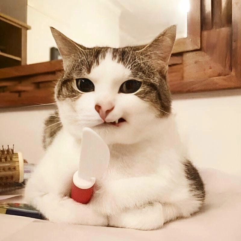 Lạc lối trong meme nhếch mép biểu cảm