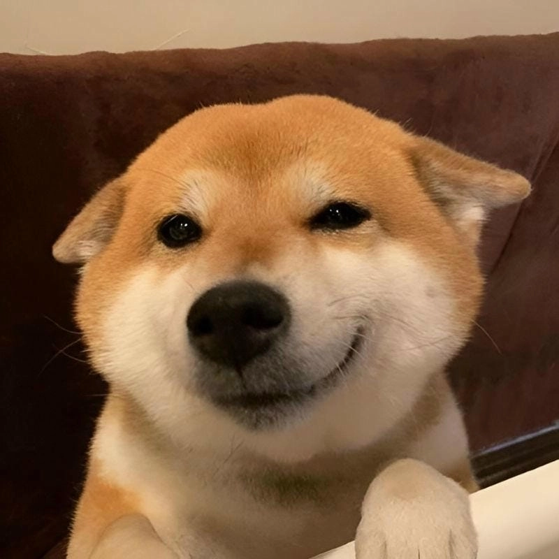 Tìm hiểu Sức hút của meme nhếch mép