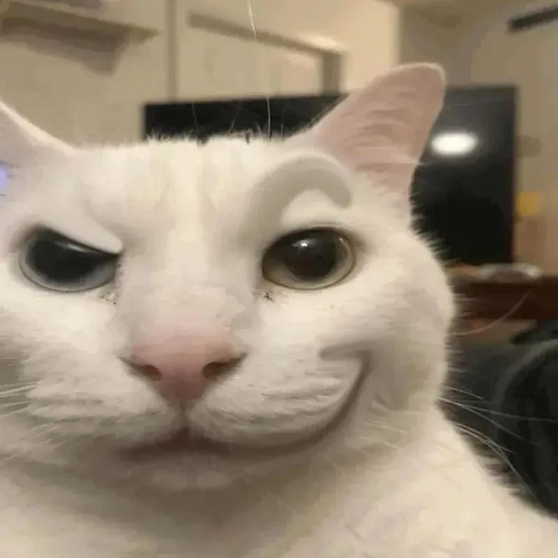 Cùng cười với những hình meme nhếch mép chế